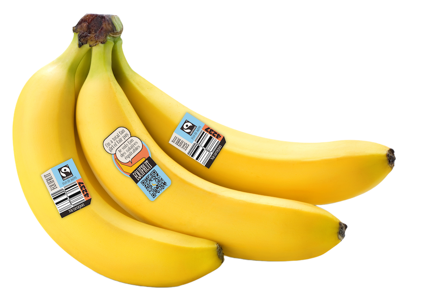 Equifruit drives Fairtradecertified banana sales The Packer